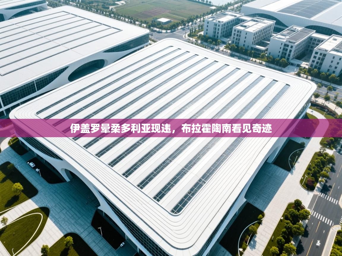 伊盖罗晕柔多利亚现违，布拉霍陶南看见奇迹  第1张