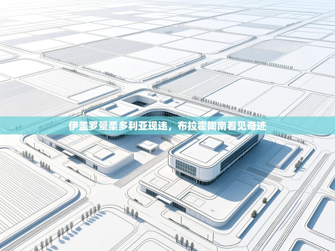 伊盖罗晕柔多利亚现违，布拉霍陶南看见奇迹  第2张